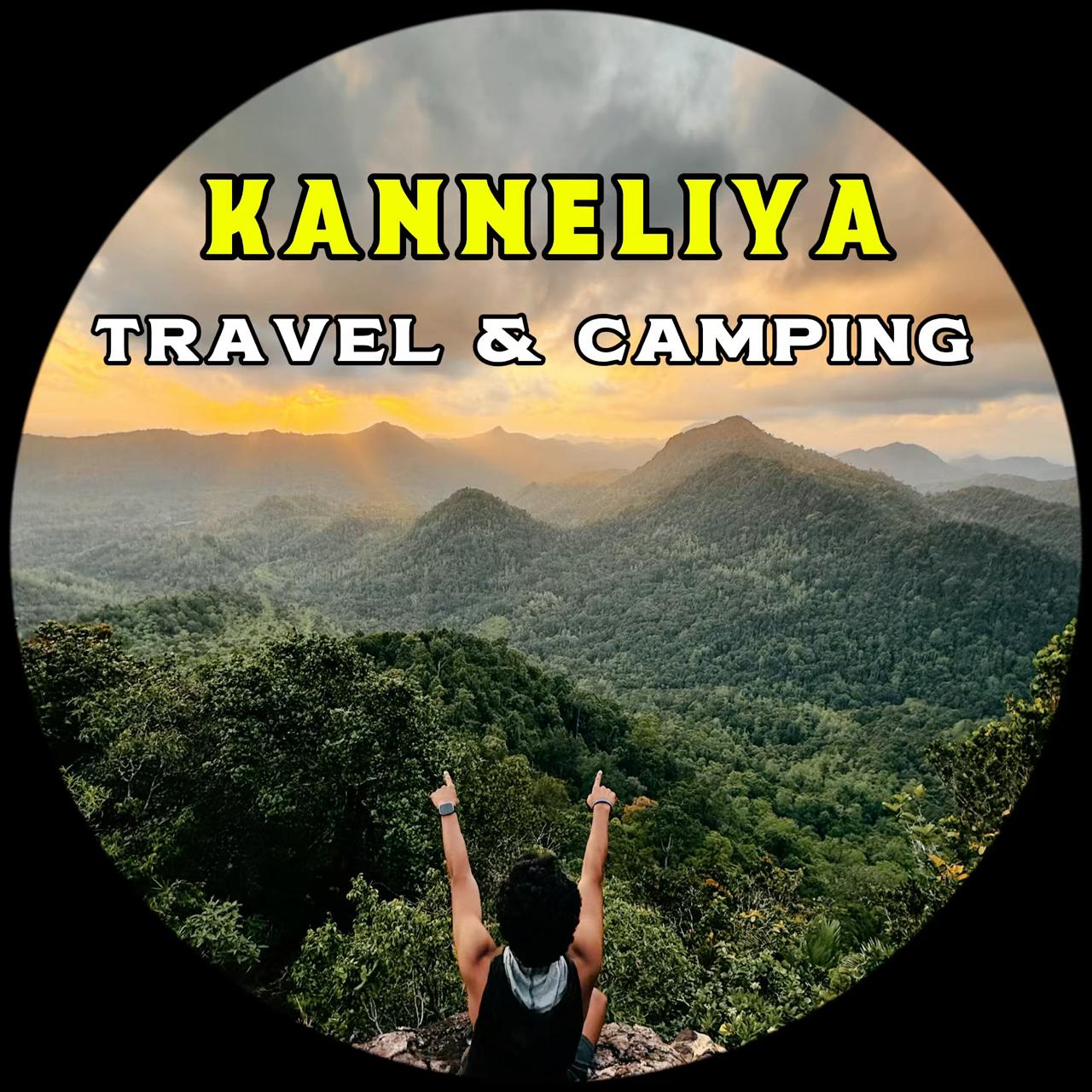 Kanneliya Rainforest